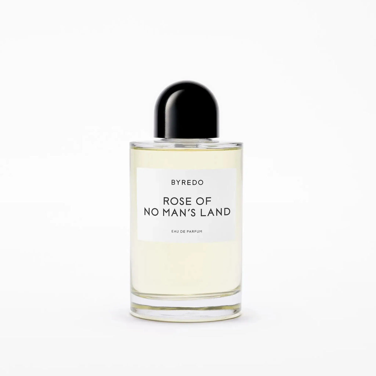 Rose Of No Man's Land